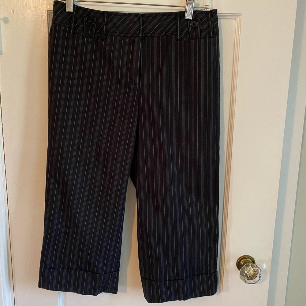 Ann Taylor ‘Ann’ Striped Navy Size 8P Crop Cuffed Pants